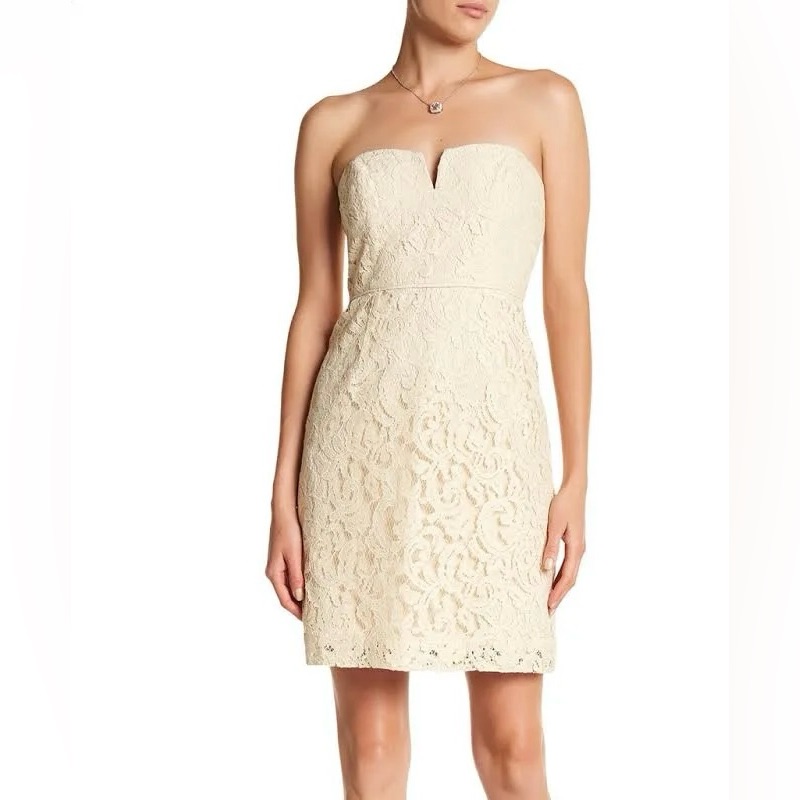 Jcrew Cathleen Strapless Lace Dress